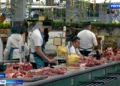 В Агропромпарке начала работу Международная ярмарка халяль-продукции «Kazan Halal Market»