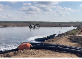 иловые поля