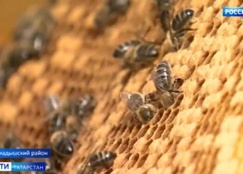 В Татарстане отметили День печати