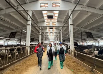 Гюзель Хабутдинова