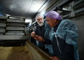 минниханов