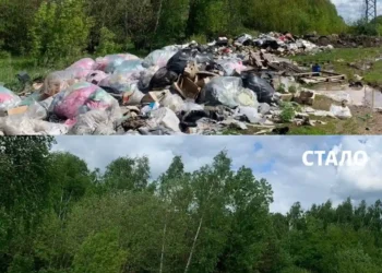 В Казани ликвидированы несанкционированные свалки