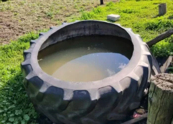 покрышка с водой