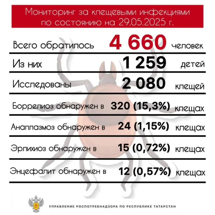 Роспотребнадзор