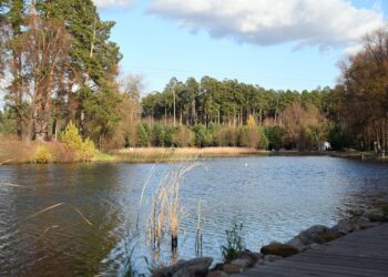 Программа радиопередач