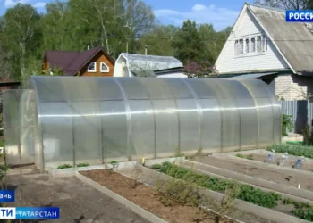 Штраф за теплицы: татарстанцам объяснили, за какие парники придется заплатить