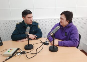 Таможня разъясняет (13.05.25)