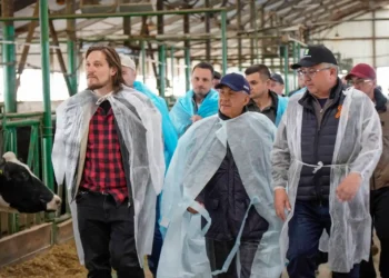 минниханов