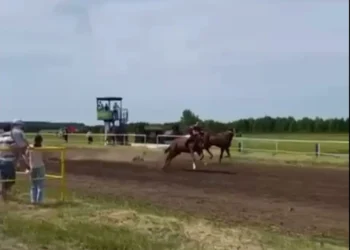На Сабантуе в Чистополе лошади сбросили двух наездников