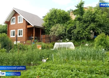 Хаджии из Татарстана не могут попасть домой из-за обострения конфликта между Израилем и Ираном