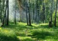 16 сентября: какие значимые события и праздники отмечают в России?