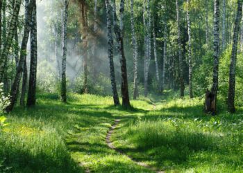 16 сентября: какие значимые события и праздники отмечают в России?