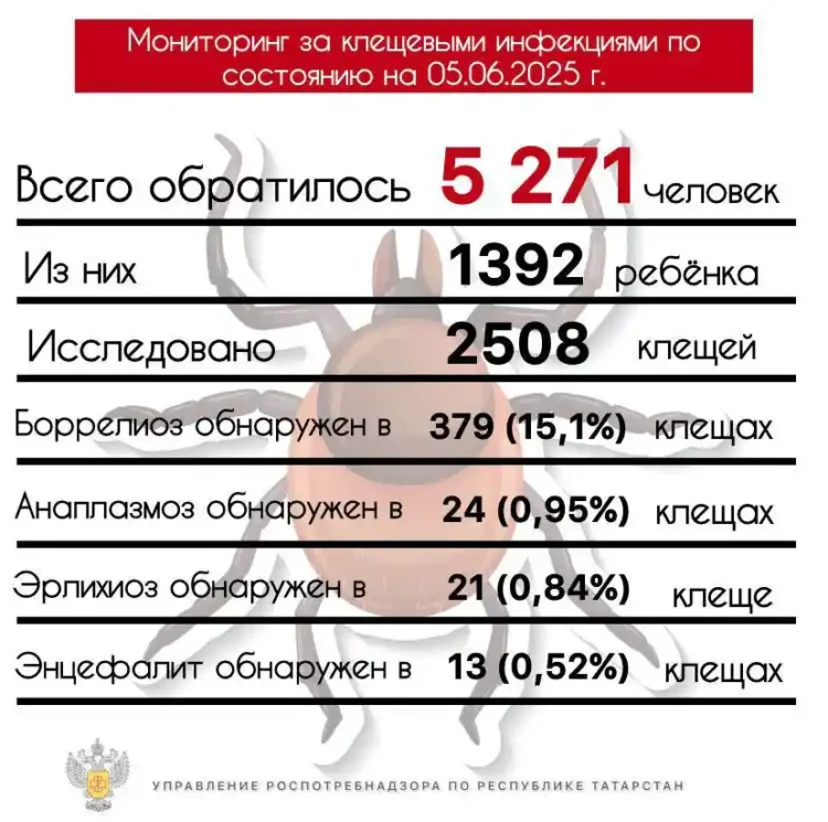 клещи