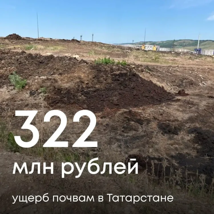 https://t.me/radionovasg