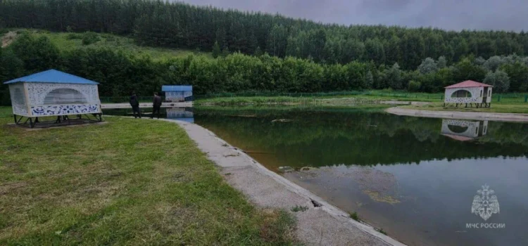 родник
