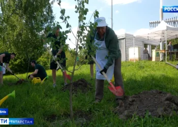 В казанском парке «Крылья Советов» высадили тополя, которые не вызывают аллергии