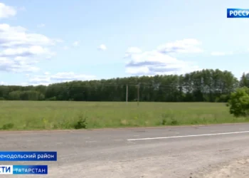 Борьба за сохранность Волжско-Камского природного заповедника разгорелась между экологами и коммерческой организацией