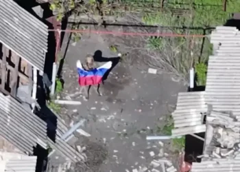 МО РФ: российские войска освободили Новоторецкое в ДНР