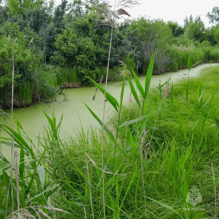 болото