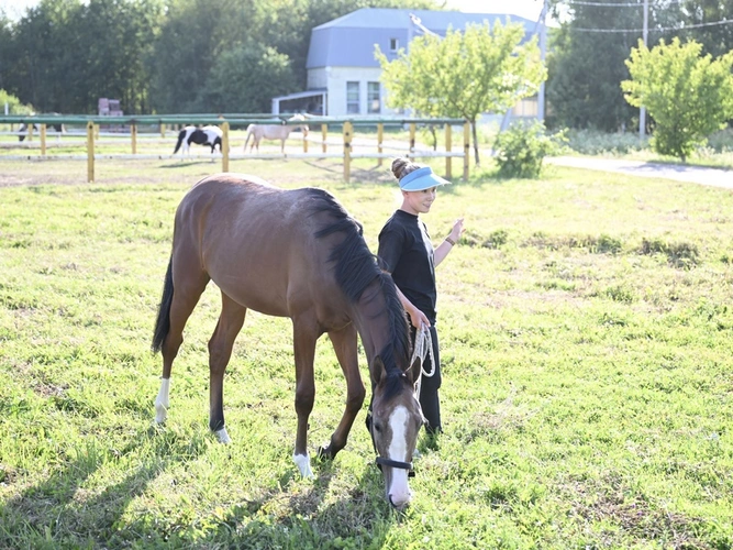 Фото: мэрия Казани