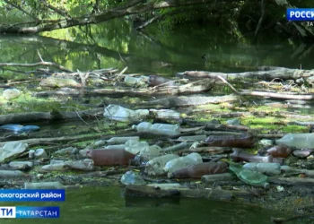 В столице РТ стартовал третий этап программы по очистке русла и берегов Казанки