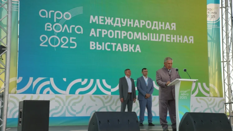 выставка