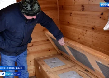 Новое направление агротуризма решили попробовать в Дрожжановском районе