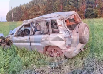 В Балтасинском районе произошло смертельное ДТП