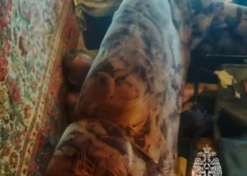 Спасатели помогли 69-летнему жителю Лениногорска выбраться из дивана