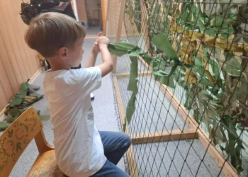 помощь