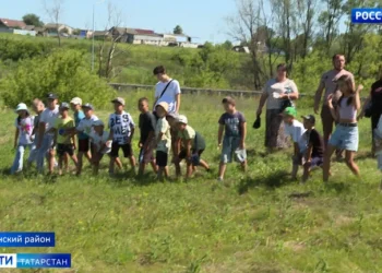 В районах Татарстана проходят дни села