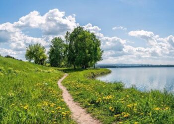 Музыкаль мизгелләр (31.07.25)