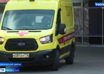 В Высокогорском районе ввели карантин по бешенству животных