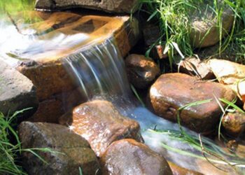 Концерт (24.07.25)