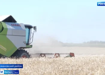 В Дрожжановском районе приступили к уборке урожая