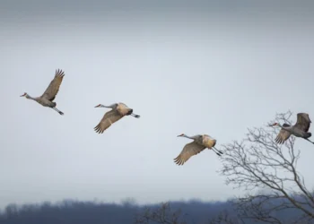 праздники 24 августа