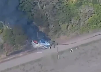 Поддубный показал кадры уничтожения французской самоходной установки «Цезарь»