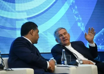 миннихинов