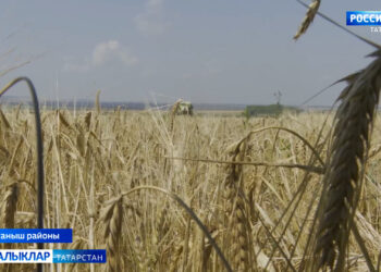 Актанышта- казаныш