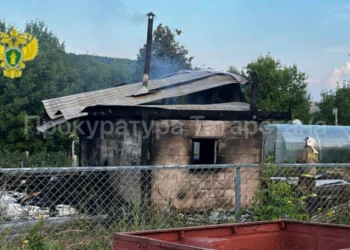 В Елабужском районе при пожаре в бане погибли пожилые брат и сестра