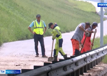 В Мензелинске девочка зарезала брата, ранила бабушку и сестру: подробности трагедии