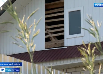 В Мензелинске девочка зарезала брата, ранила бабушку и сестру: подробности трагедии