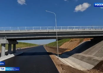 В Мензелинске девочка зарезала брата, ранила бабушку и сестру: подробности трагедии