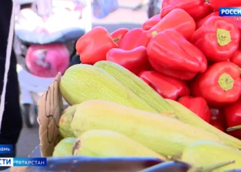 На полях Татарстана развернулся монтаж новых метеостанций