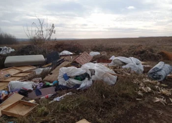 В Арском районе ликвидируют несанкционированную свалку