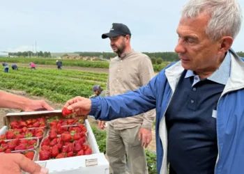 Рустам Минниханов посетил фермерское хозяйство «Ягодная долина» в Зеленодольском районе