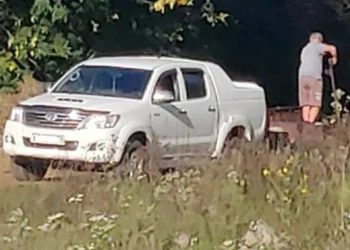 штраф за сброс мусора из машины