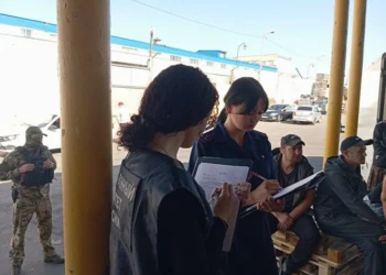 В Казани выявили еще 12 нелегальных мигрантов в кафе