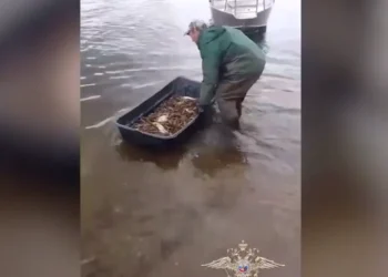 браконьеры