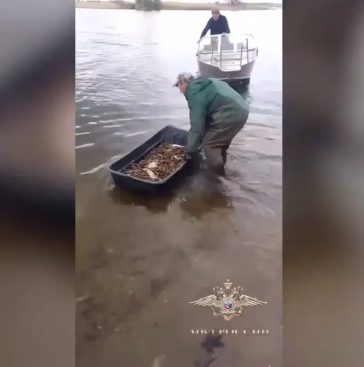 браконьеры